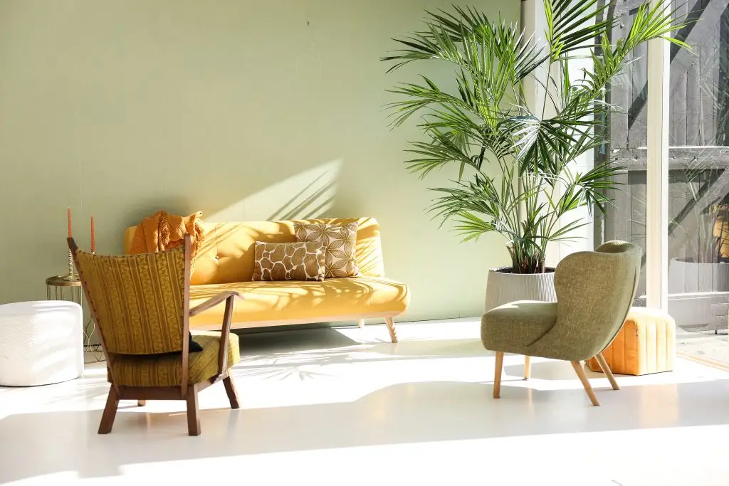 Zon schijnt naar binnen in daglichtstudio Roosendaal, vlakbij Antwerpen