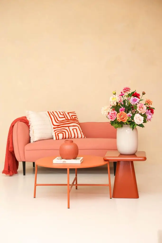 Instagram content maken in 1 dag in daglichtstudio Roosendaal