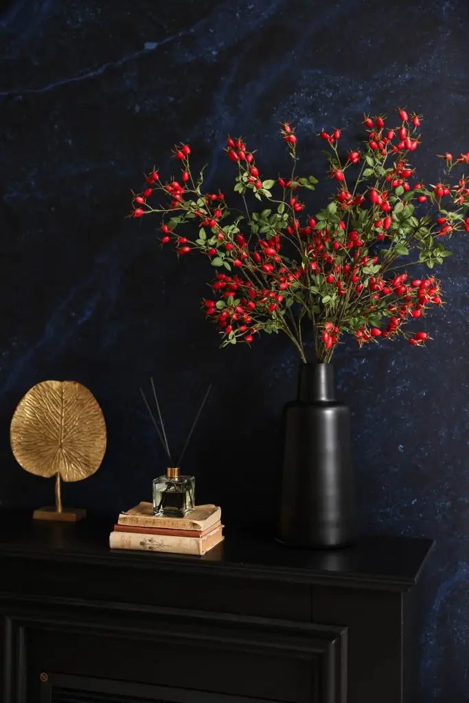 daglicht studio met verschillende achtergronden