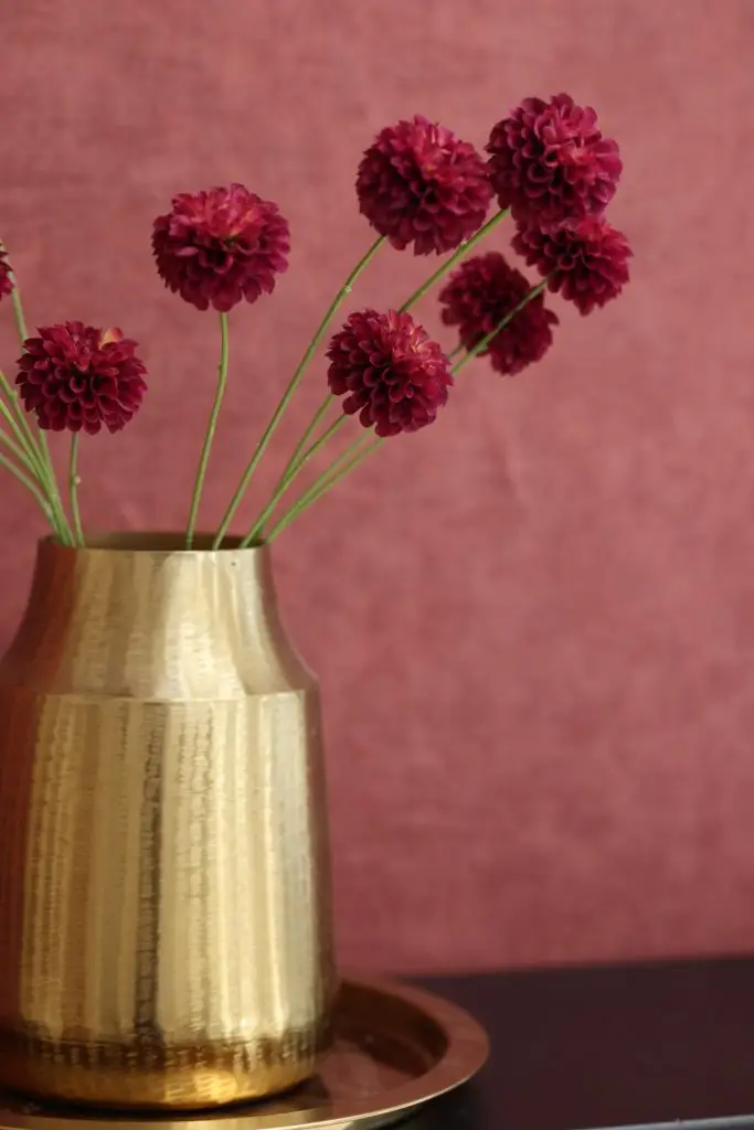 Bordeaux rood in fotostudio Brabant