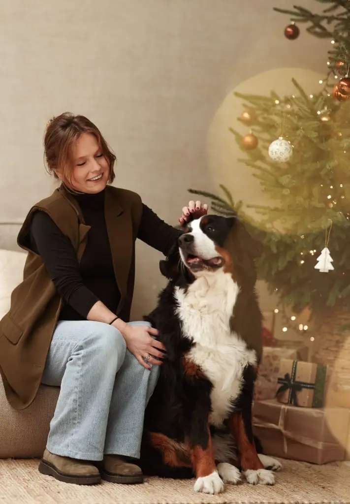 Kerst met huisdier foto in daglichtstudio The Green D-Light